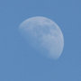 La lune rousse au jardin