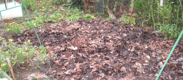 Potager en hiver prêt à recevoir les semis et plantations