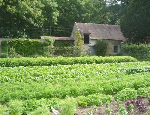 Le potager de Saint-Jean de Beauregard en juin