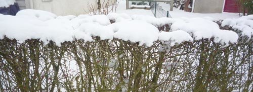 Un épais manteau blanc de neige