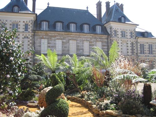 Les grandes nouveautés : un jardin ombragé dans la cour