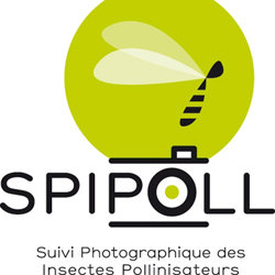 Histoire SPIPOLL