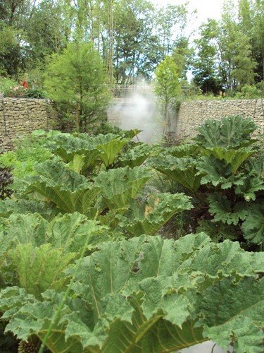 Le Jardin des Grands Feuillages