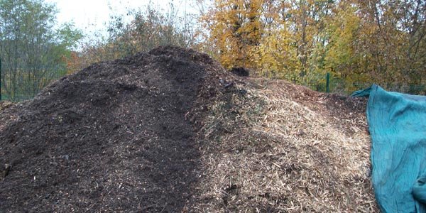 Qu'est-ce que le compost, à quoi ça sert, comment l'utiliser ?