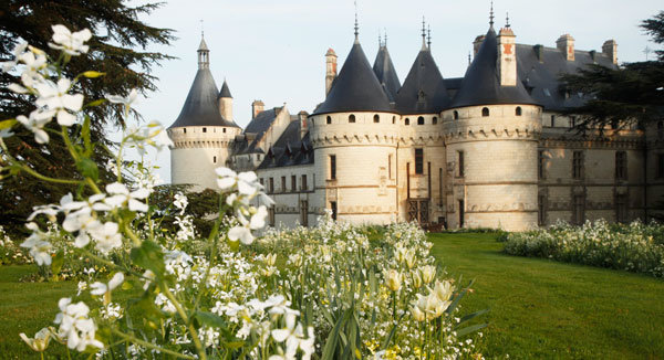 La biodiversité à Chaumont-sur-Loire