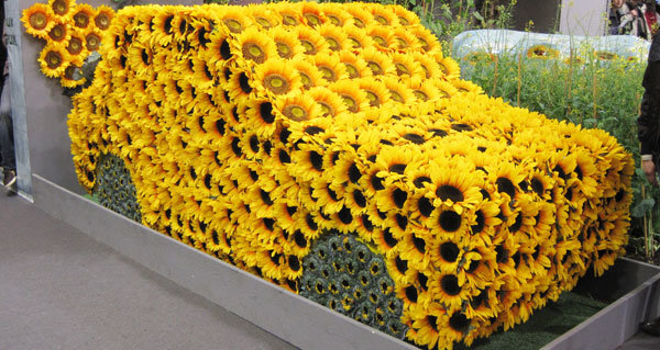 Voiture végétale jaune