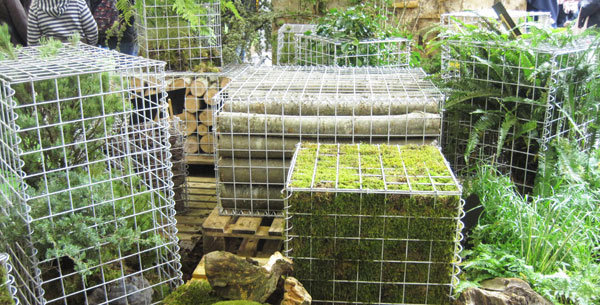 Gabions végétalisés