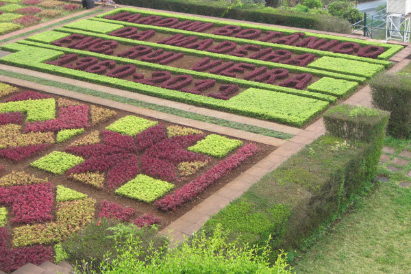 Mosaïque fleurie