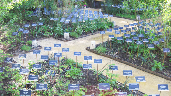 Jardin des plantes disparues - Prise de conscience