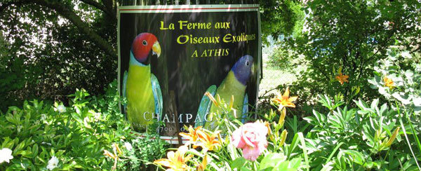 Jardin nature en Champagne-Ardenne