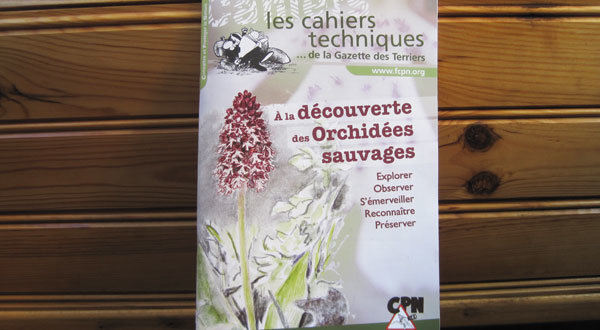 Les orchidées sauvages