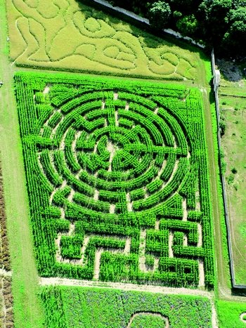 Labyrinthes végétaux de Gally (78)