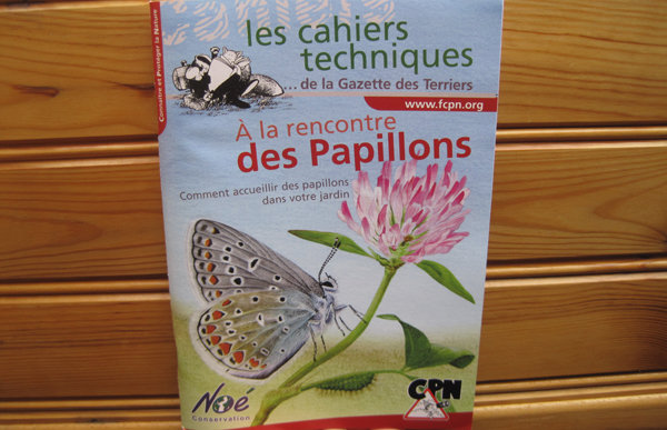 Le monde fabuleux des papillons