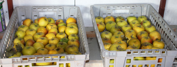 Stockage à l'abri