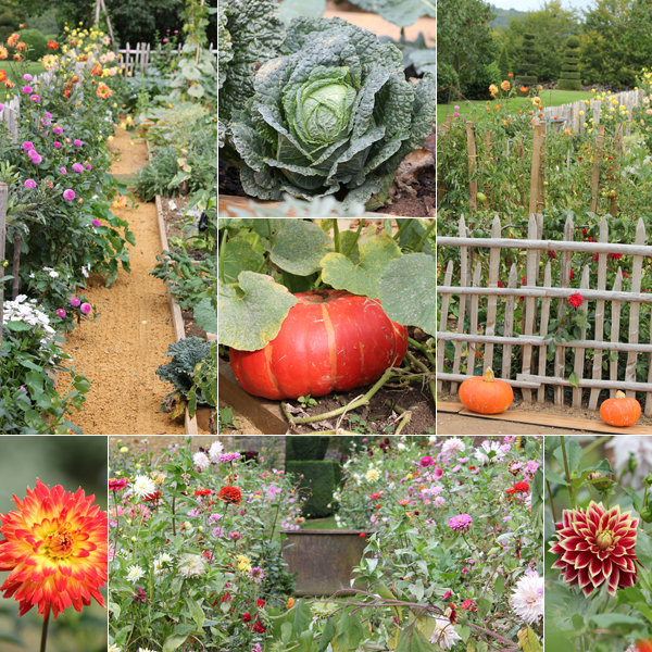 Le potager et le jardin fleuriste