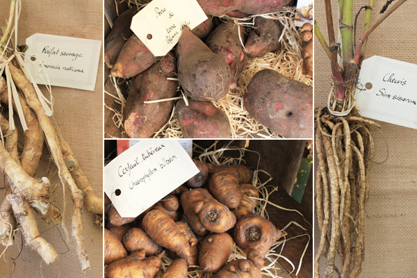 Légumes à redécouvrir