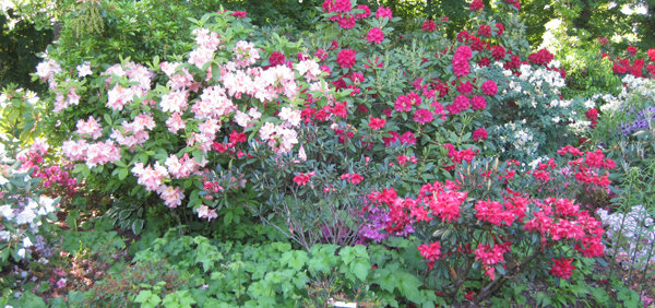 Au jardin d'ornement