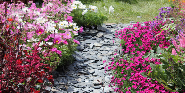 Mixer le jardin minéral et végétal