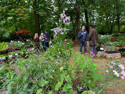 Stand le plus esthétique : Sous un arbre perché