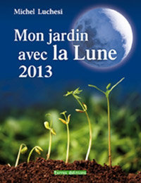 Mon jardin avec la lune 2013