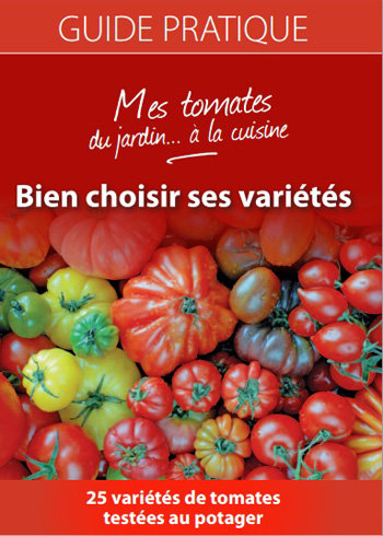 Fiche détaillée sur les variétés de tomates