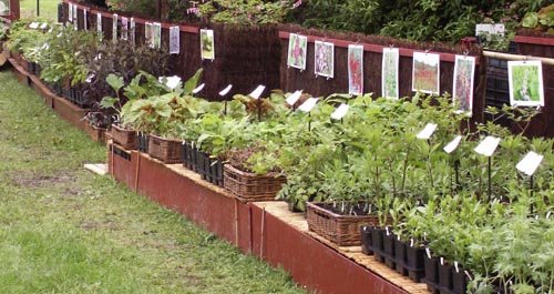 Stand du Jardin du Morvan :