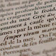 Glossaire du jardinier